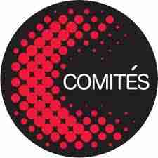 Environnement comptable : comités Environnement comptable : comités etudes comptables