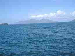 Pourquoi la mer est elle salée ? Pourquoi la mer est elle salée ? faune et flore