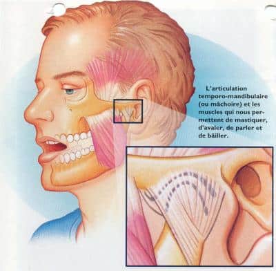 Insensibilisant aux dorsalgies