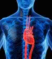 Maladie cardio_vasculaires Maladie cardio_vasculaires